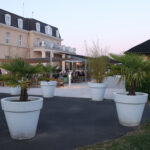 img 7819